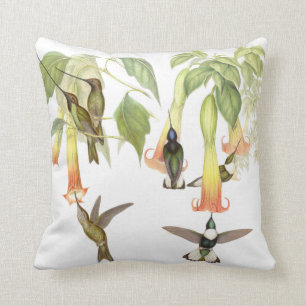Goulds Kolibri-Kissen Kissen