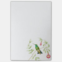 Goulds Kolibris Post-it-Notizen