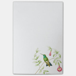 Goulds Kolibris Post-it-Notizen Post-it Klebezettel