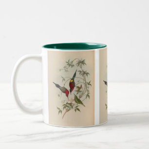Goulpourah Sun-Bird von John Gould Zweifarbige Tasse