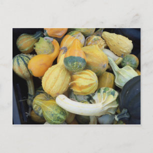 Gourd Collection Postkarte