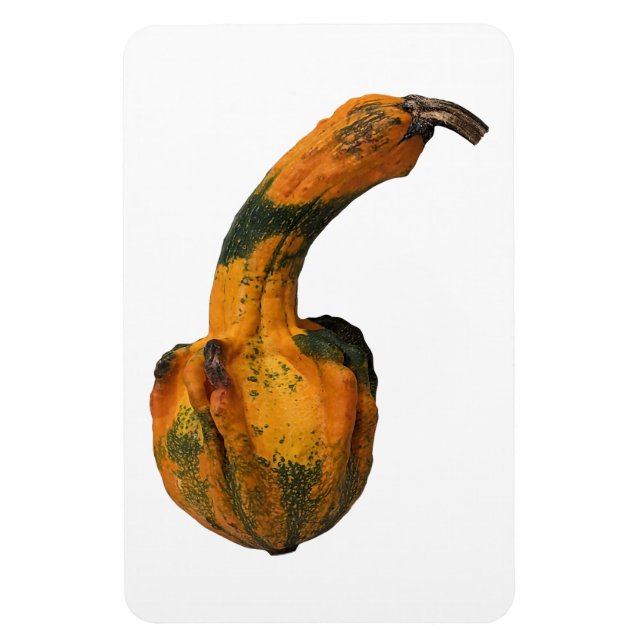 Gourd Foto Magnet (Vertikal)