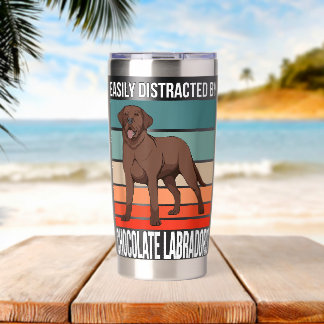 Gourde Isotherme Labo Choco Rétro Facilement Distrait Par Labrador