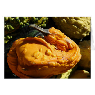 Gourde Qui Ressemble À Un Canard