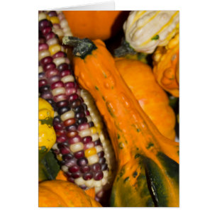 Gourds and Corn Fall Fotografy Blank-Inside Card