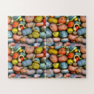 Gourds and Pumpkin Fotografy Pattern Fotografie