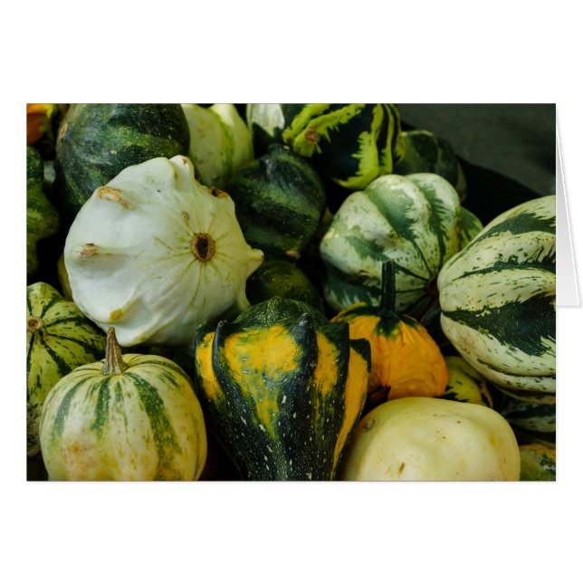 Gourds Galore (Vorderseite (Horizontal))