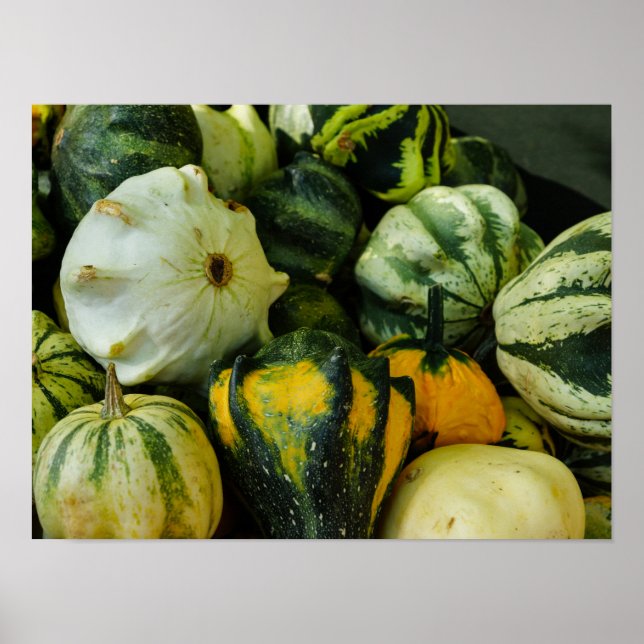 Gourds Galore Poster (Vorne)