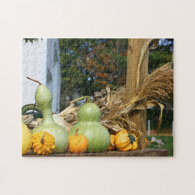Gourds Maisstalks Stand Herbst (Horizontal)