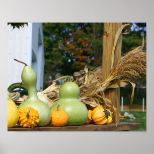 Gourds Maisstalks Stand Herbst Poster