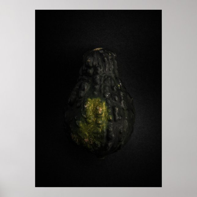 Gourds No 19 Color Version Poster (Vorne)