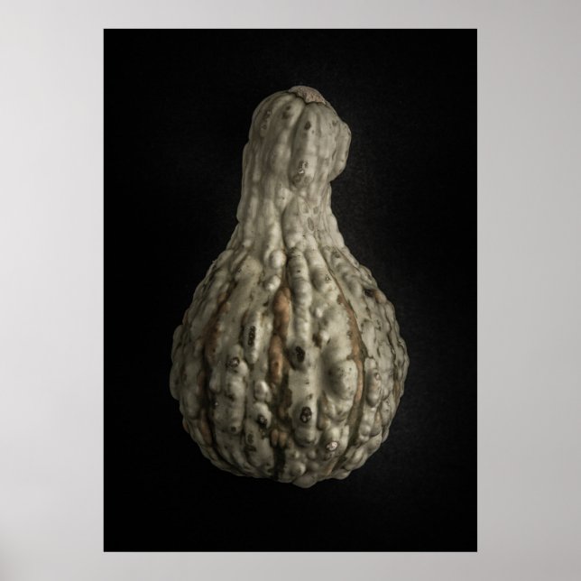 Gourds No 8 Color Version Poster (Vorne)