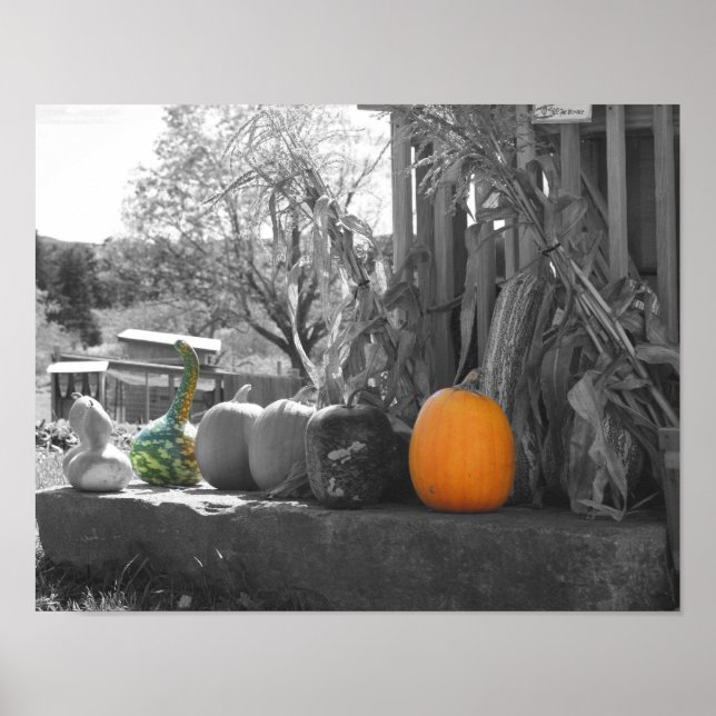 Gourds Pumpkins Cornstalks teilweise Farbe Poster (Vorne)