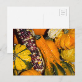 Gourds und Corn Fall Food Fotografie Postkarte