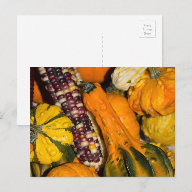 Gourds und Corn Fall Food Fotografie Postkarte (Vorne/Hinten)