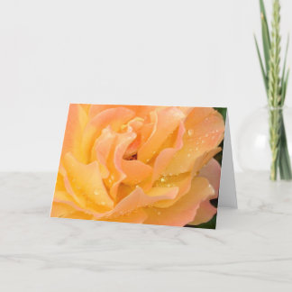 Gouttes de pluie sur la carte vierge de roses