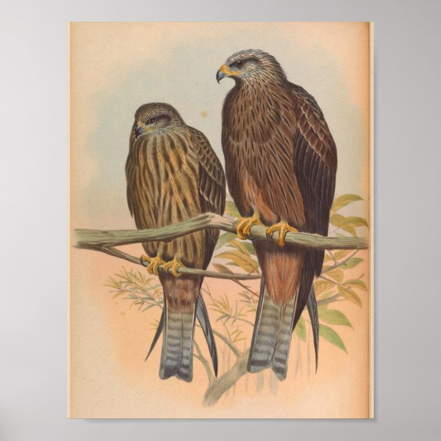 Govinda Kite Brown Bird Vintage Kunst Poster (Vorne)