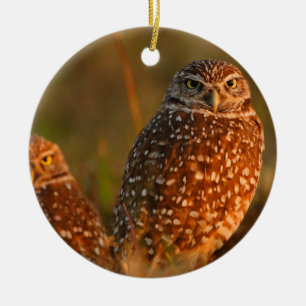 Graben der Eulen Keramikornament