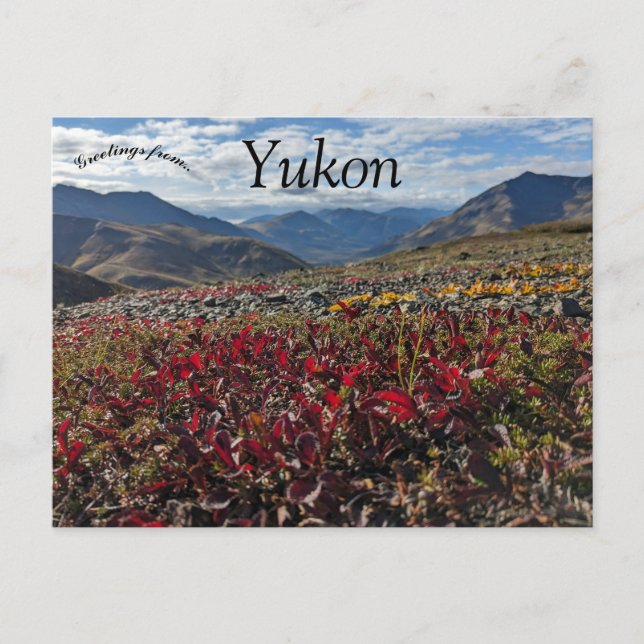 Grabstein Territorial Park Dawson Yukon Kanada Postkarte (Vorderseite)