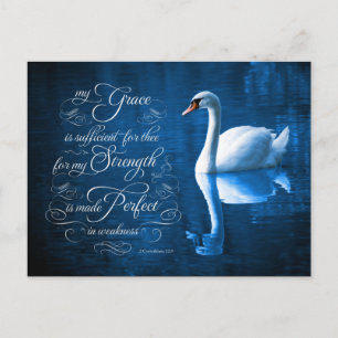 Grace Bible Verse Mute Swan Cartes postales