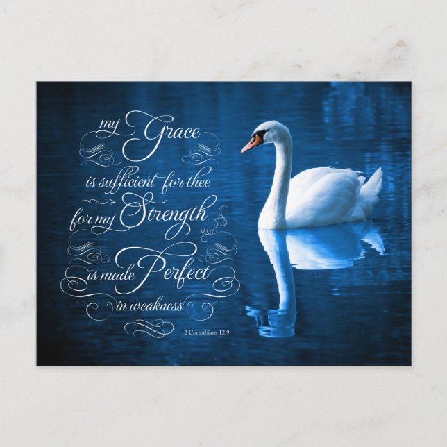 Grace Bible Verse Mute Swan Postkarten (Vorderseite)