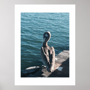 Grace California Color Fotografie Poster