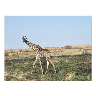 Grâce en mouvement – Impression photo de girafe af
