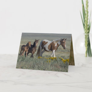 Grace et ses deux volées Wild Horse Carte de voeux