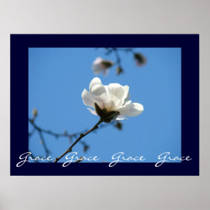 Grace Grace Grace Kunstdrucke Blue Sky Magnolie Poster