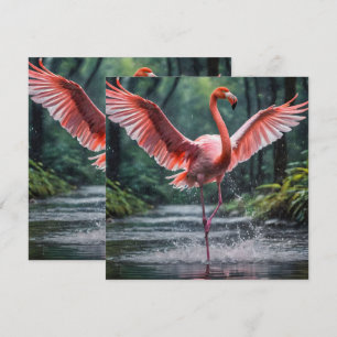 Grace in Flight: Der rosa Flamingos Riverdance