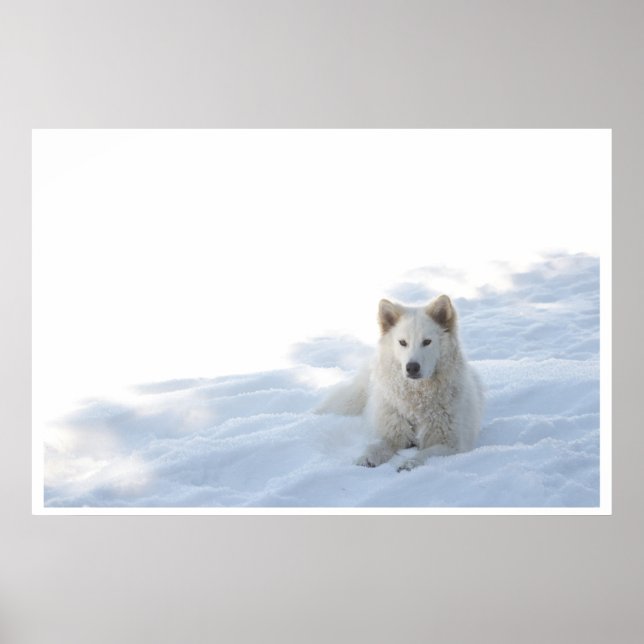 Grace Poster (Vorne)