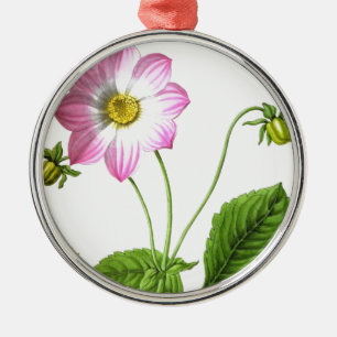 Grace Silbernes Ornament
