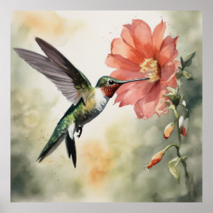 Graceful Hummingbird - Aquarellmalerei Poster
