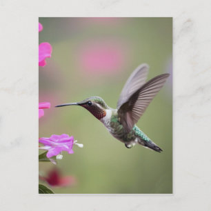 Graceful Hummingbird- Nature Fotografy Postkarte