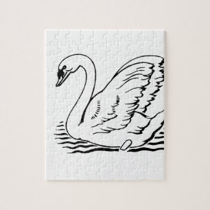 Graceful Swan