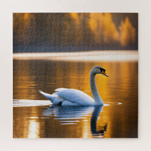 Graceful Swan am See
