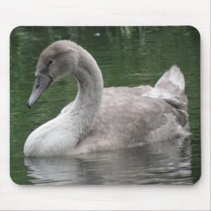 Graceful Swan on Water Mousepad
