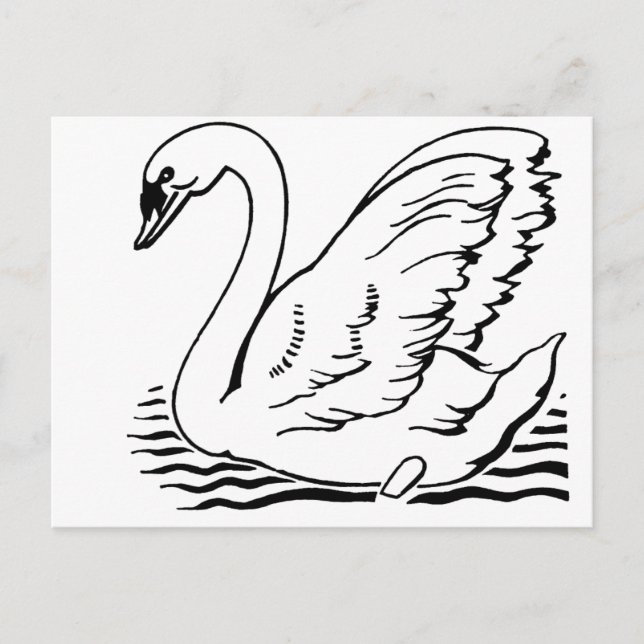 Graceful Swan Postkarte (Vorderseite)