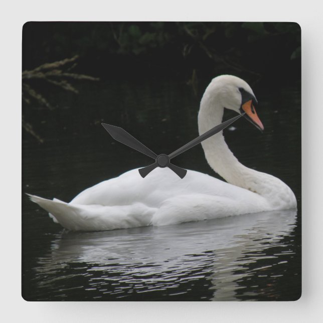 Graceful White Swan Clock Quadratische Wanduhr (Vorderseite)