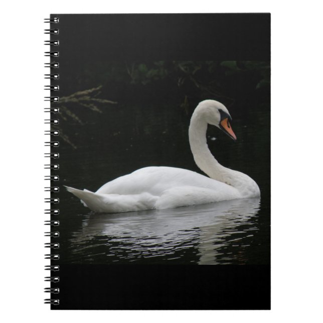 Graceful White Swan-Notebook Notizblock (Vorderseite)