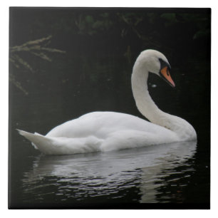 Graceful White Swan Tile Fliese
