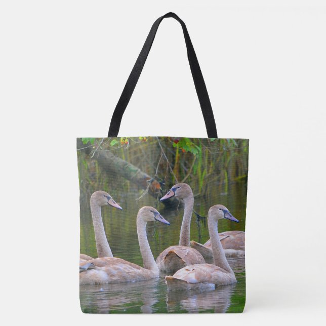 Graceful Young Swans Tasche (Vorderseite)