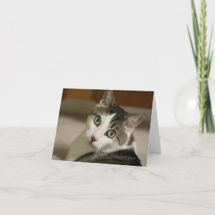 Gracey, la carte de note la plus minuscule de