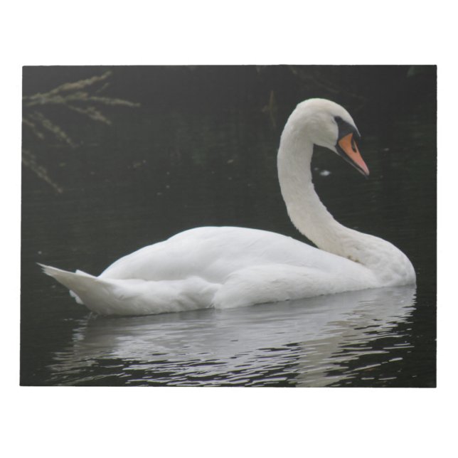 Gracful White Swan Notepad Notizblock (Vorderseite)