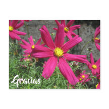 Gracias Spanisch lila Blume vielen Dank