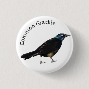 Grackeln Button