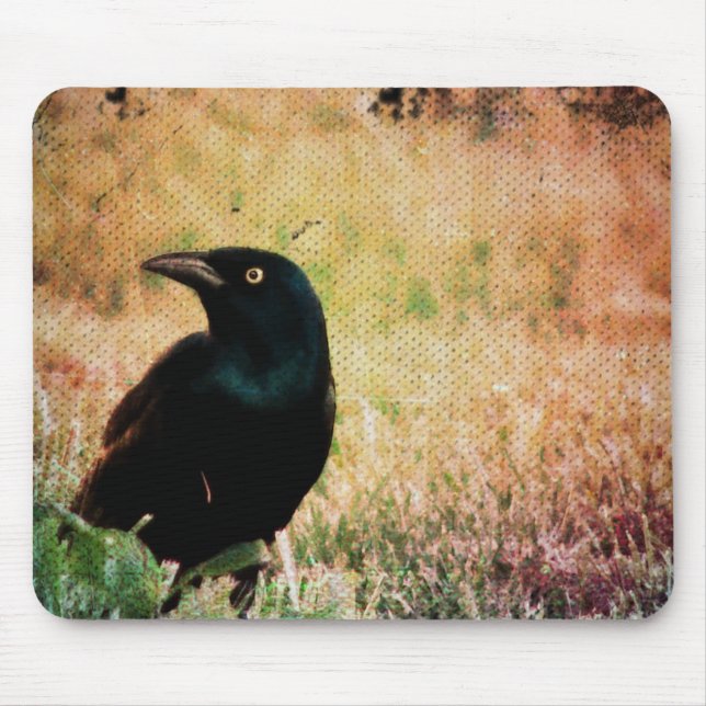 Grackle Bird Mousepad (Vorne)