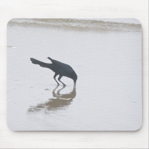 Grackle Grackle Grackle Grackle für eine Mehlserie Mousepad