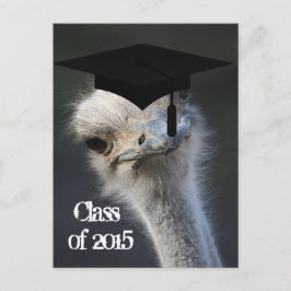 Grad-Ankündigung Ankündigungspostkarte