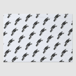 Grad-Cap-Diplom (Schwarz) Abschluss Seidenpapier